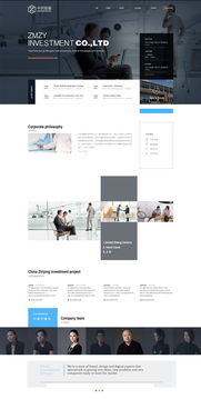 中心投网站设计与优化指南