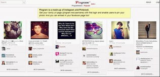 网站建设、设计与网络工程 构建数字化未来的基石