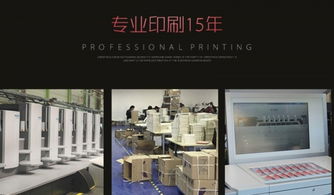 高端产品宣传画册设计制作 专业画册设计与网络工程的融合之道